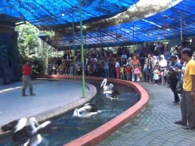 KBS Masih Jadi Favorit Tempat Liburan