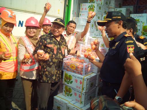 59 Ton Jeruk Asal China Gagal Diselundupkan Masuk Surabaya