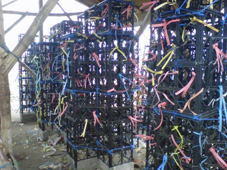 Pertama Kali Di Indonesia, Diskanla Jatim Temukan Inovasi Underwater Restocking