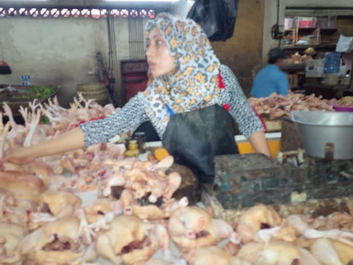 Harga Daging Ayam di Surabaya Tercatat Rp32 Ribu