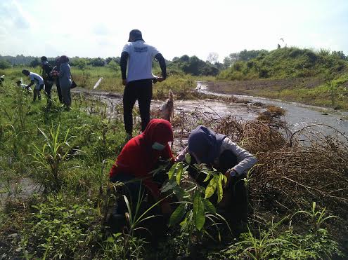 Gandeng Pelajar Dan Mahasiswa, Aktivis Lingkungan Hidup Hijaukan Pesisir Bambang Lumajang