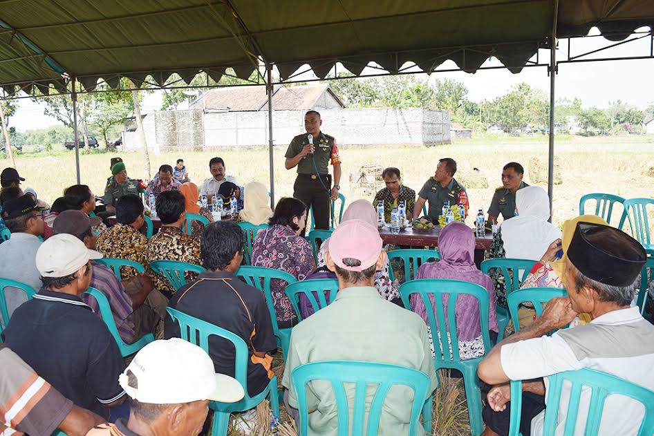 Tim Sergap Mabesad Cek Penyerapan Gabah Di Tuban