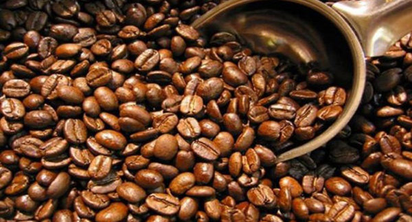 Kopi Jatim Diminati Eropa, Eksport Jatim Tembus 40 Ribu Ton