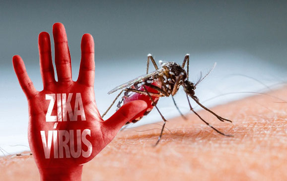 Virus Zika Marak, Masyarakat Di Himbau Tidak ke Singapura
