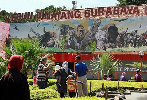 Gawat,Perintah Walikota Ditolak Kepala Keamanan KBS