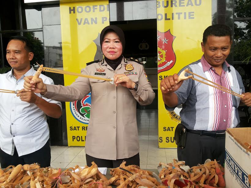 Antisipasi Akan Dikirm ke jakarta, Polisi Sita 1.000 Ketapel