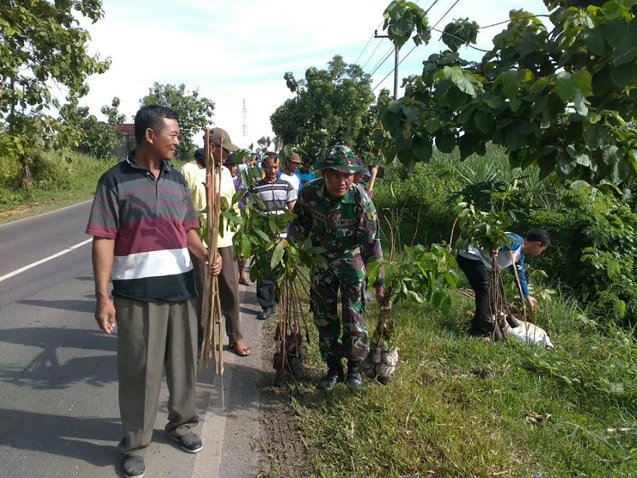 Koramil Kembangbahu Tanam 1000 Pohon Mahoni