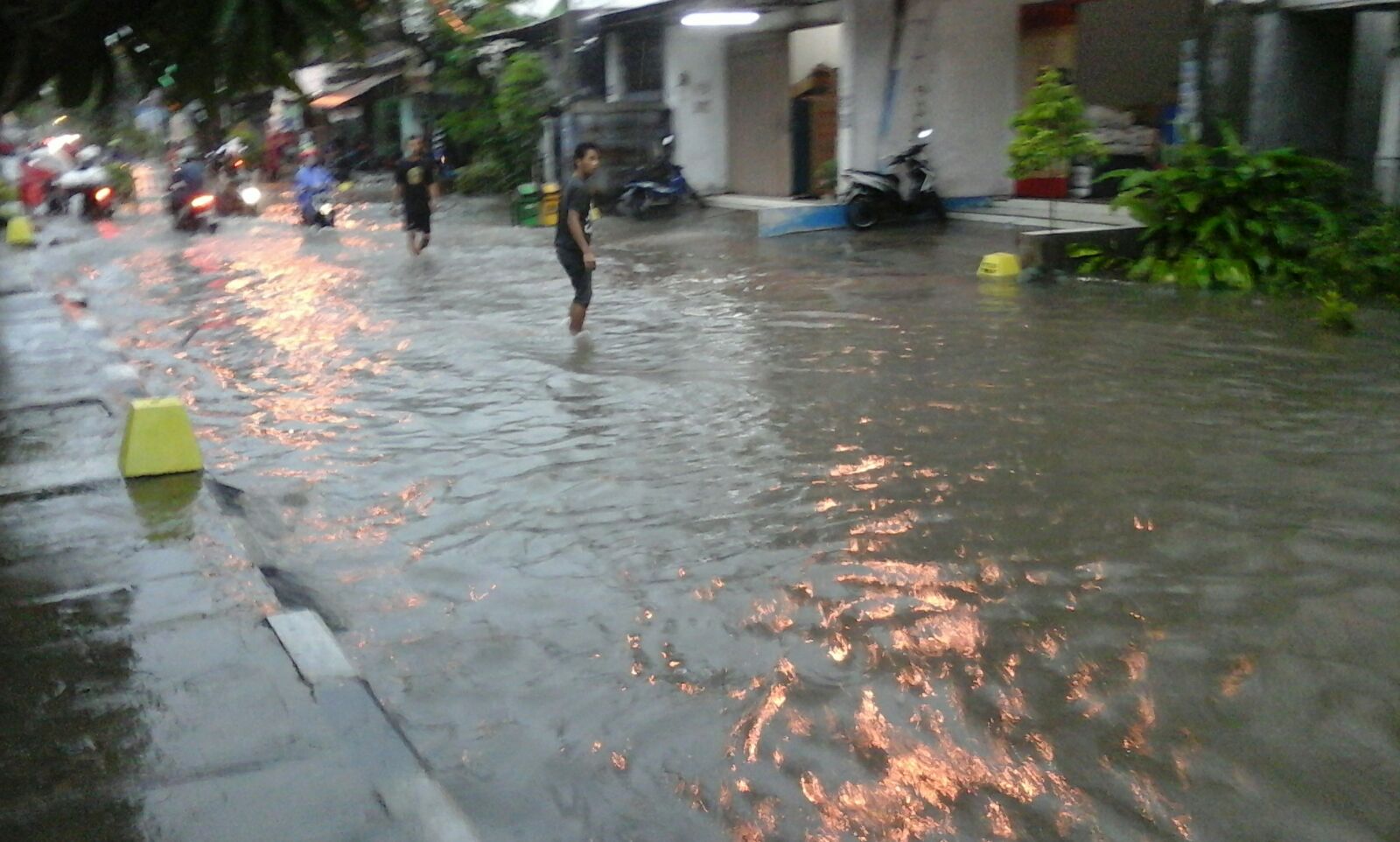 Belum Surut, Sungai Bengawan Solo Telah Rendam Ribuan Rumah Warga