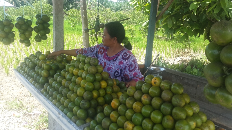 DPS Pilkada Jatim 2018 Tercatat 30.385.986 Pemilih