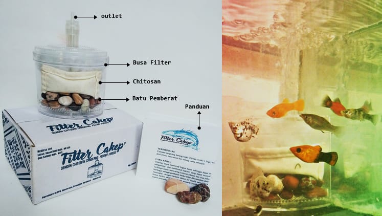 Mahasiswa UNAIR Tawarkan FIlter Cakep Untuk Serap Bakteri Dan Logam Berat Pada Air