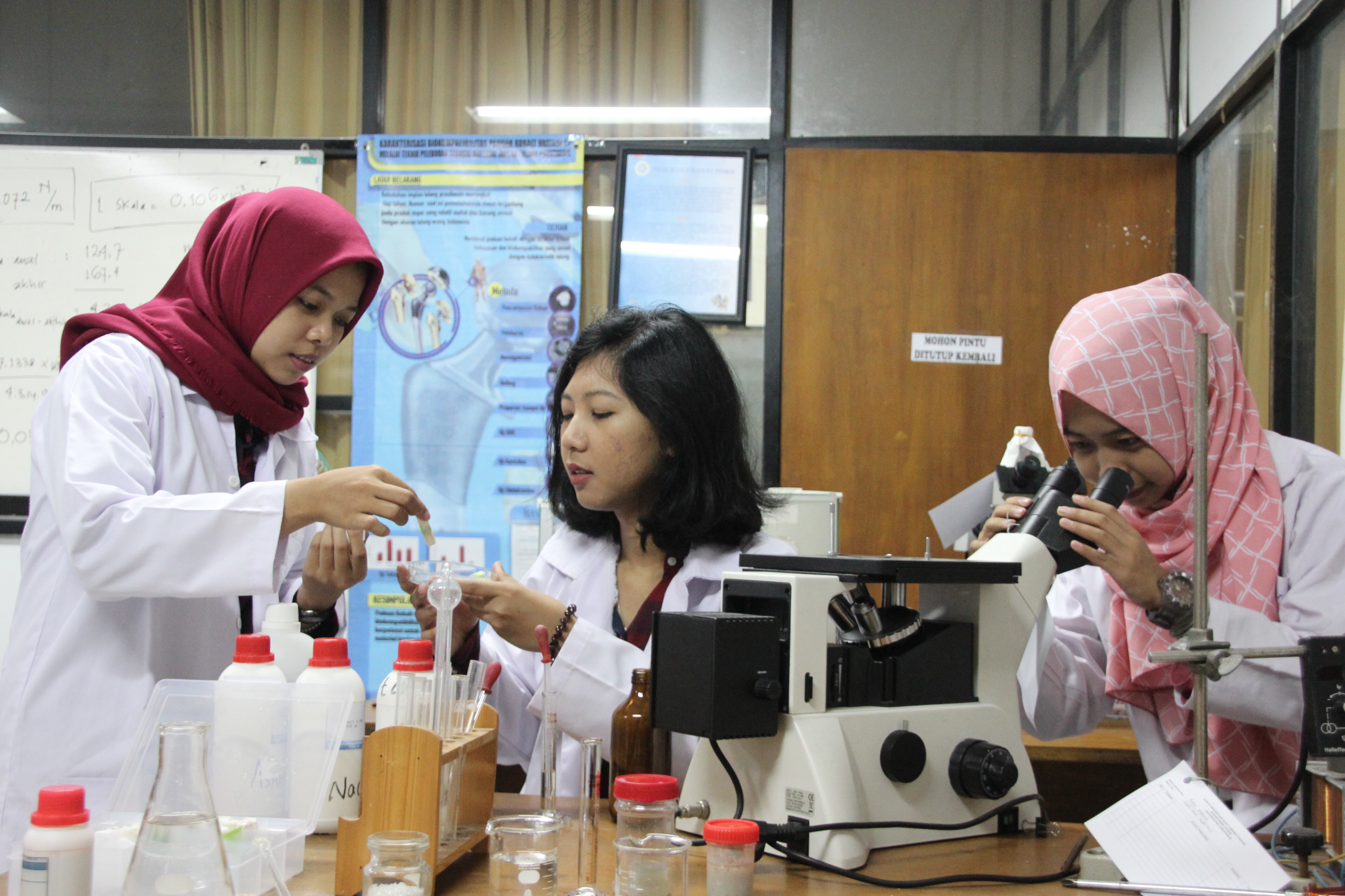 Inovasi Mahasiswa Unair, Kulit Ikan Nila Jadi Pengganti Tulang Rawan Buatan