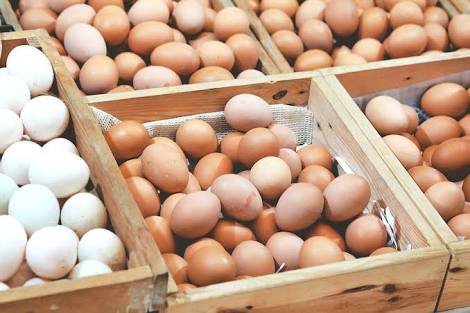 Harga Telur Di Sidoarjo Kembali Stabil