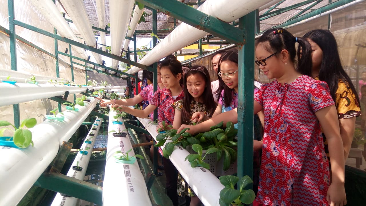 Healty Friday, Vita School Surabaya Kenalkan Siswanya Makanan Sehat
