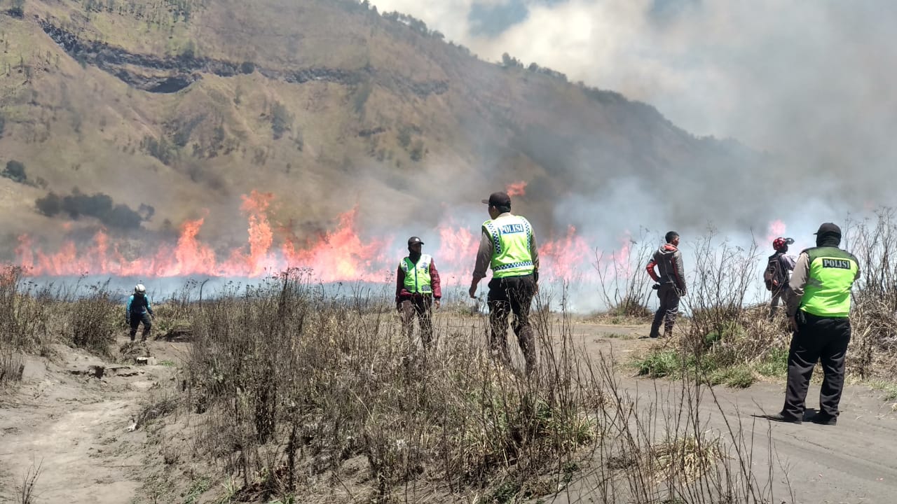 Kebakaran Padang Savana Bromo Masih Belum Padam