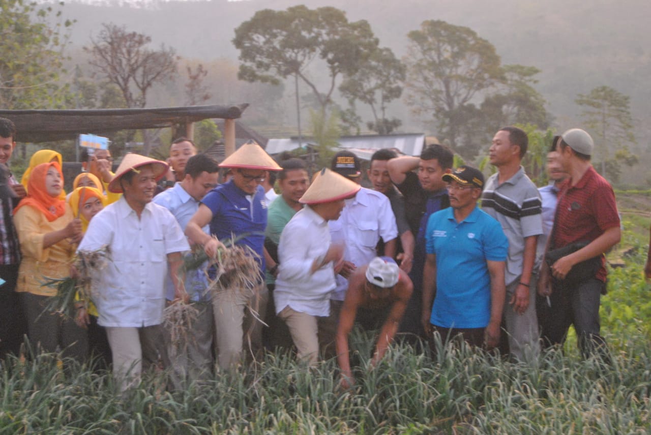 Dikunjungi Sandiaga, Petani Desa Sajen Keluhkan Harga Jual Bawang