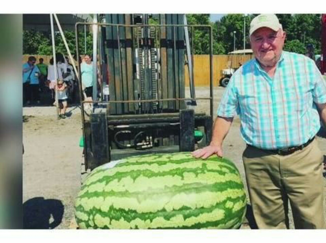 Wow Petani Ini Pecahkan Rekor Pemilk Semangka Terberat