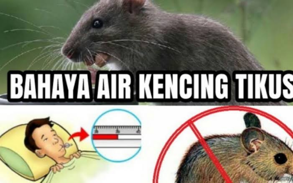 Mudahkan Pelanggan, PLN Jatim Luncurkan Layanan New Super Power