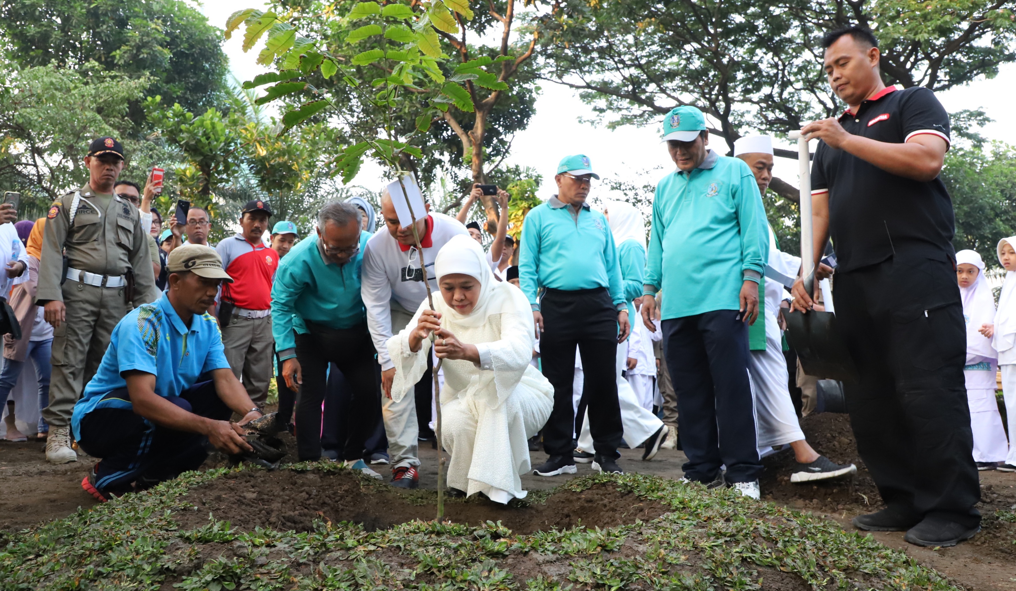 Khofifah Tanam Pohon Matoa, Simbol Persaudaraan Jatim-Papua