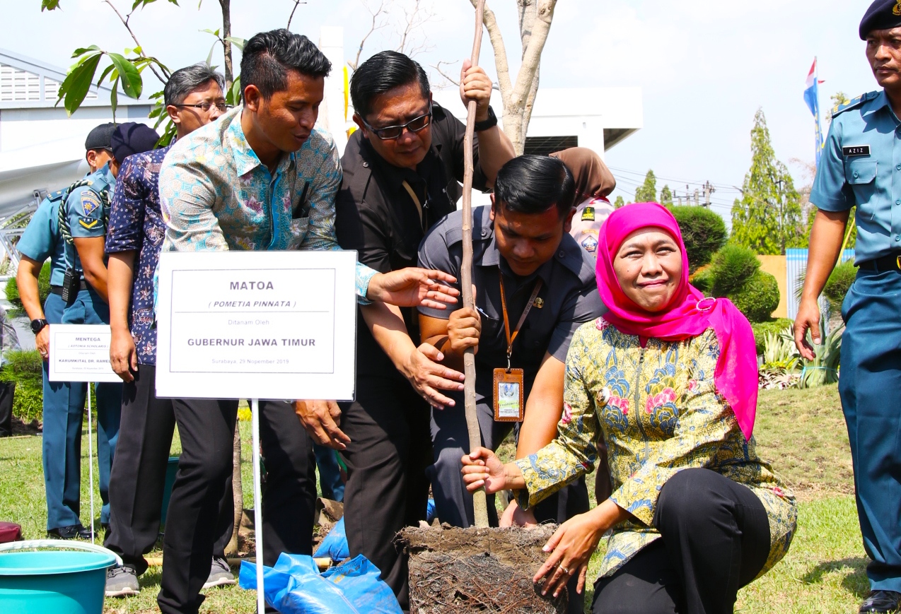 Tanam 2 Ribu Bibit Pohon, Khofifah Canangkan Go Green Hospital