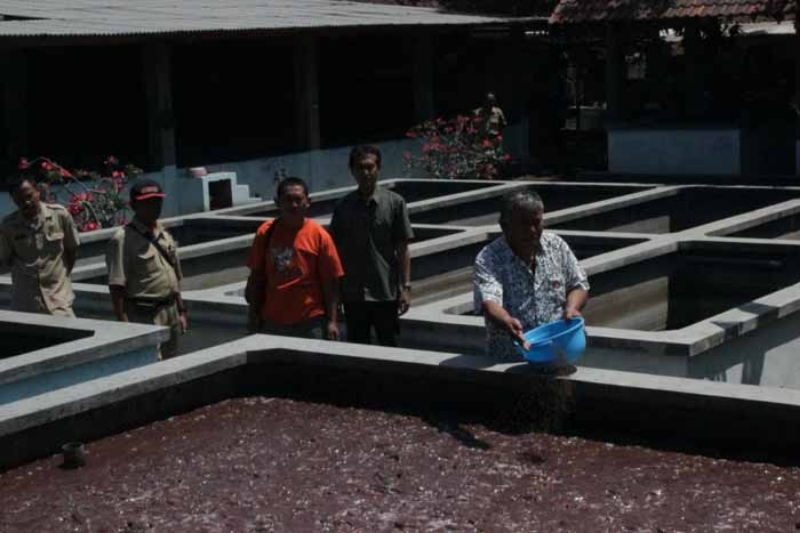 Kab Kediri Tak Jadi Pilot Project, Komisi B Kritik Program Kampung Lele DKP Jatim