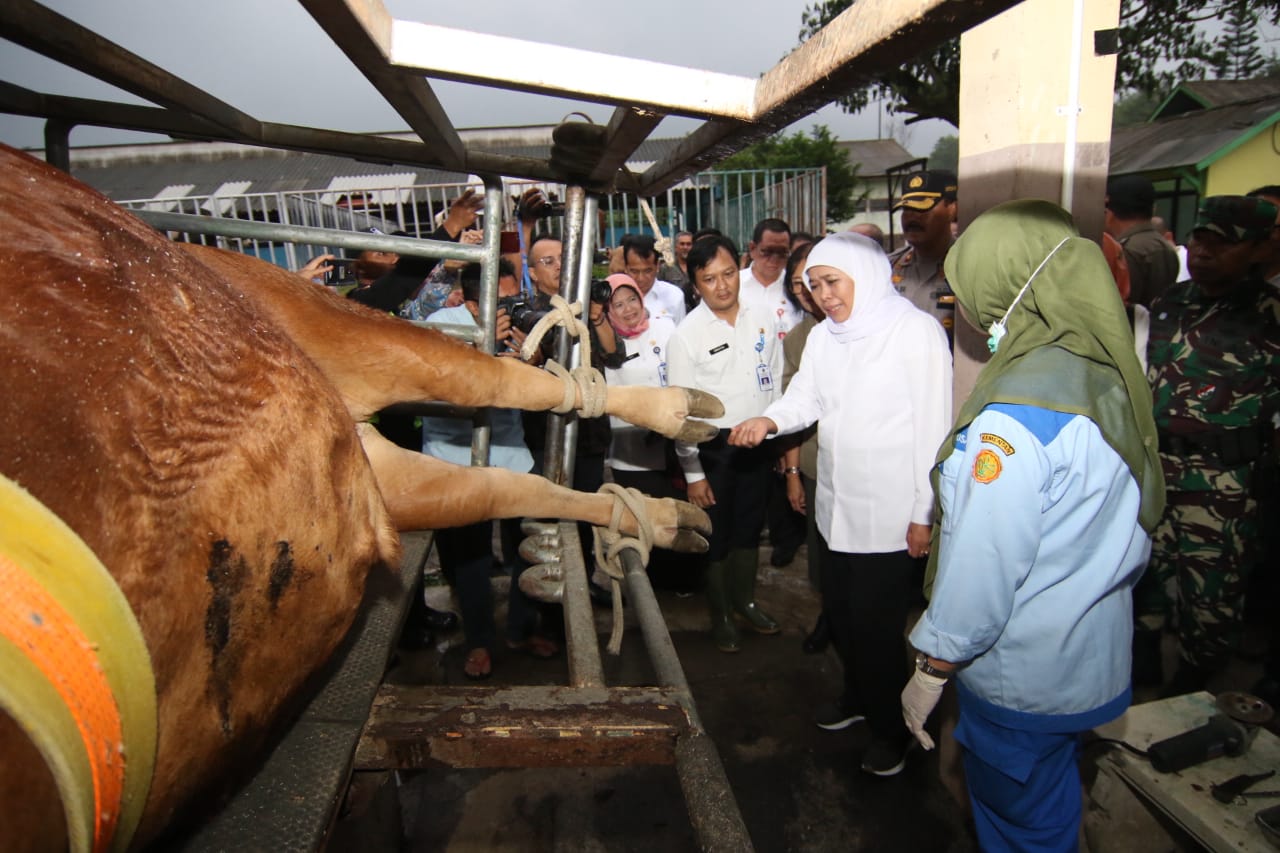 Jelang Natal dan Tahun Baru, Khofifah Jamin Stok Bapok Peternakan Aman