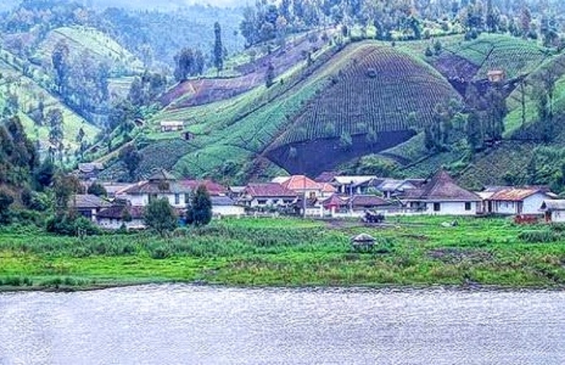 Hearing Dengan Komisi D, PLN Keberatan Ada Pohon Dekat Tiang Listrik
