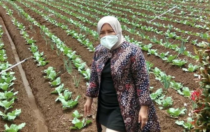 Anggaran Pengembangan Benih Hortikultura Dipangkas, Dewan Tanya Keseriusan Pemprov Jatim