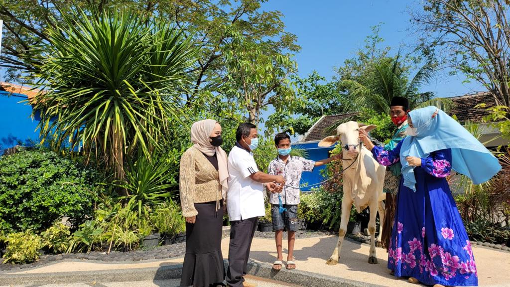 Politisi Demokrat Bagikan 4 Sapi untuk Keluarga Terdampak Covid-19