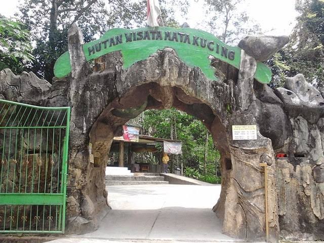 PPKM Terus Diperpanjang, Apa Kabar Penghuni Kebun Binatang