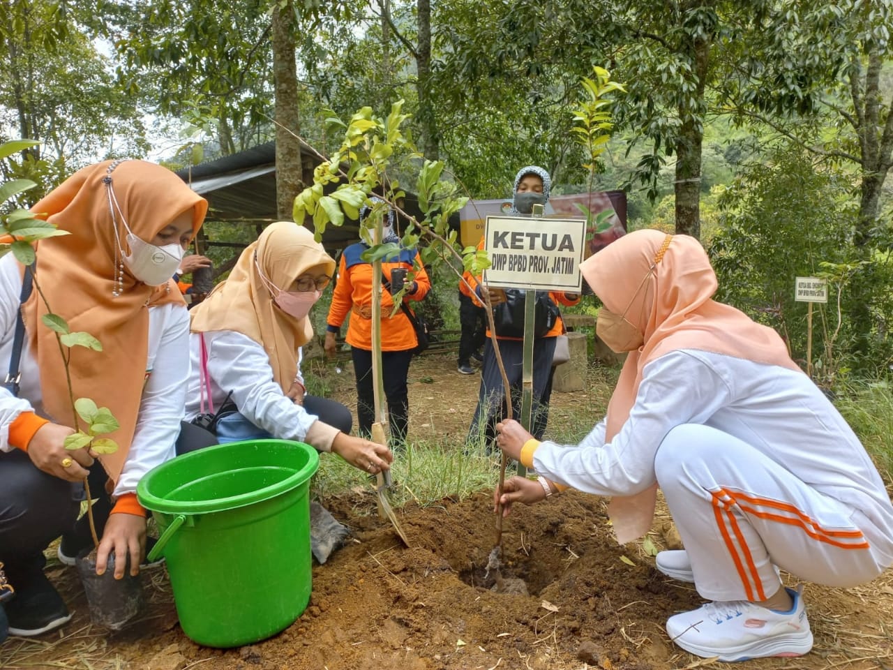 BPBD Gelar Mitigasi Vegetasi di Lereng Lawu Area Wisata Genilangit