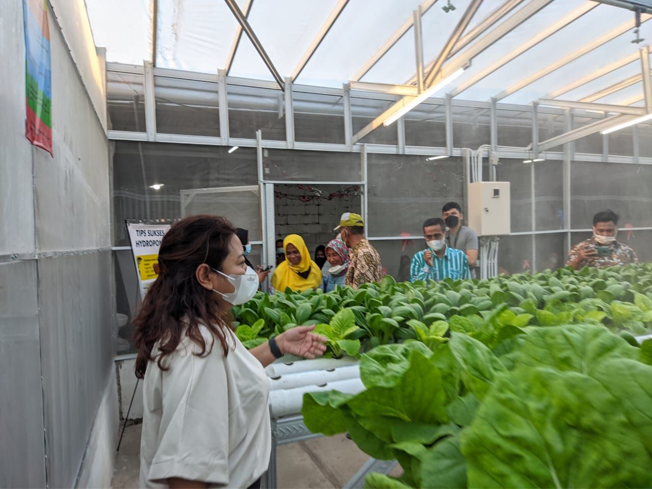 Agatha Ajak Warga Kota Wujudkan Ketahanan Pangan dengan Urban Farming