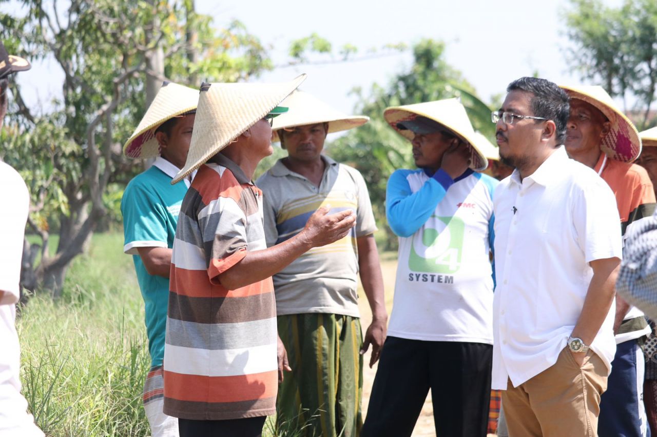 Anwar Sadad Rajin Dengar Curhatan Petani, Ini Kata Pengamat Politik