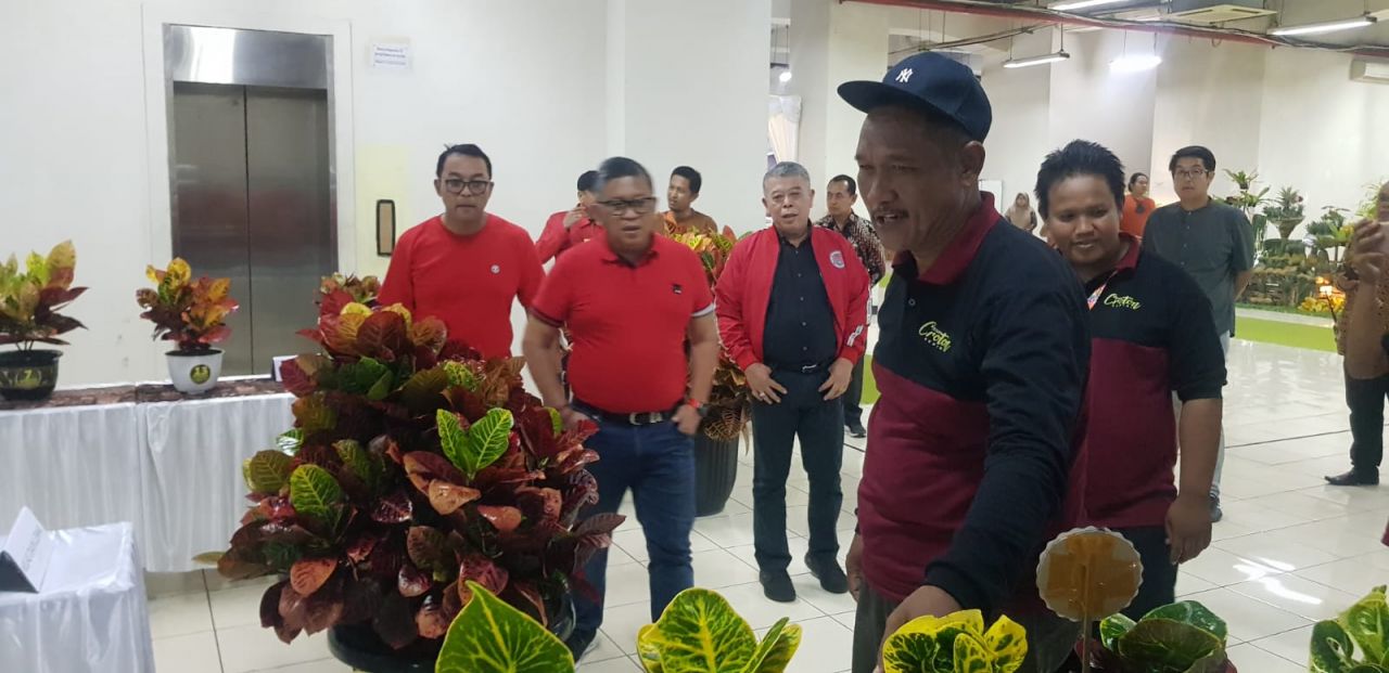 Lihat Tanaman Ini, Sekjen PDI Perjuangan Langsung Beli untuk Megawati