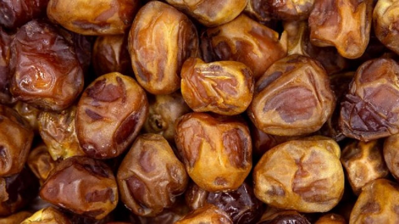 Menikmati Kelezatan Kurma Sukari dan Rasakan Manfaatnya untuk Kesehatan