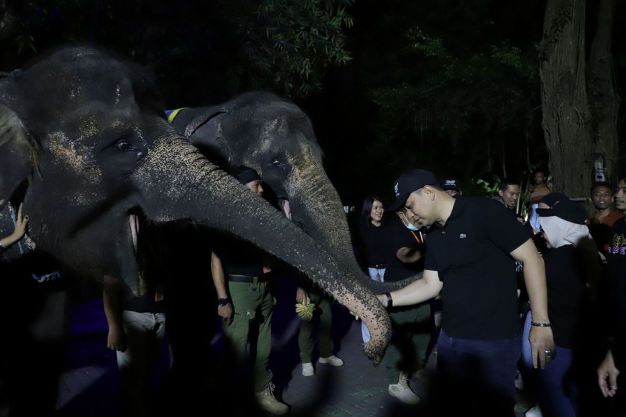 Wali Kota Eri Cahyadi Menjajal Surabaya Night Zoo, Komentar hanya 1 Kata