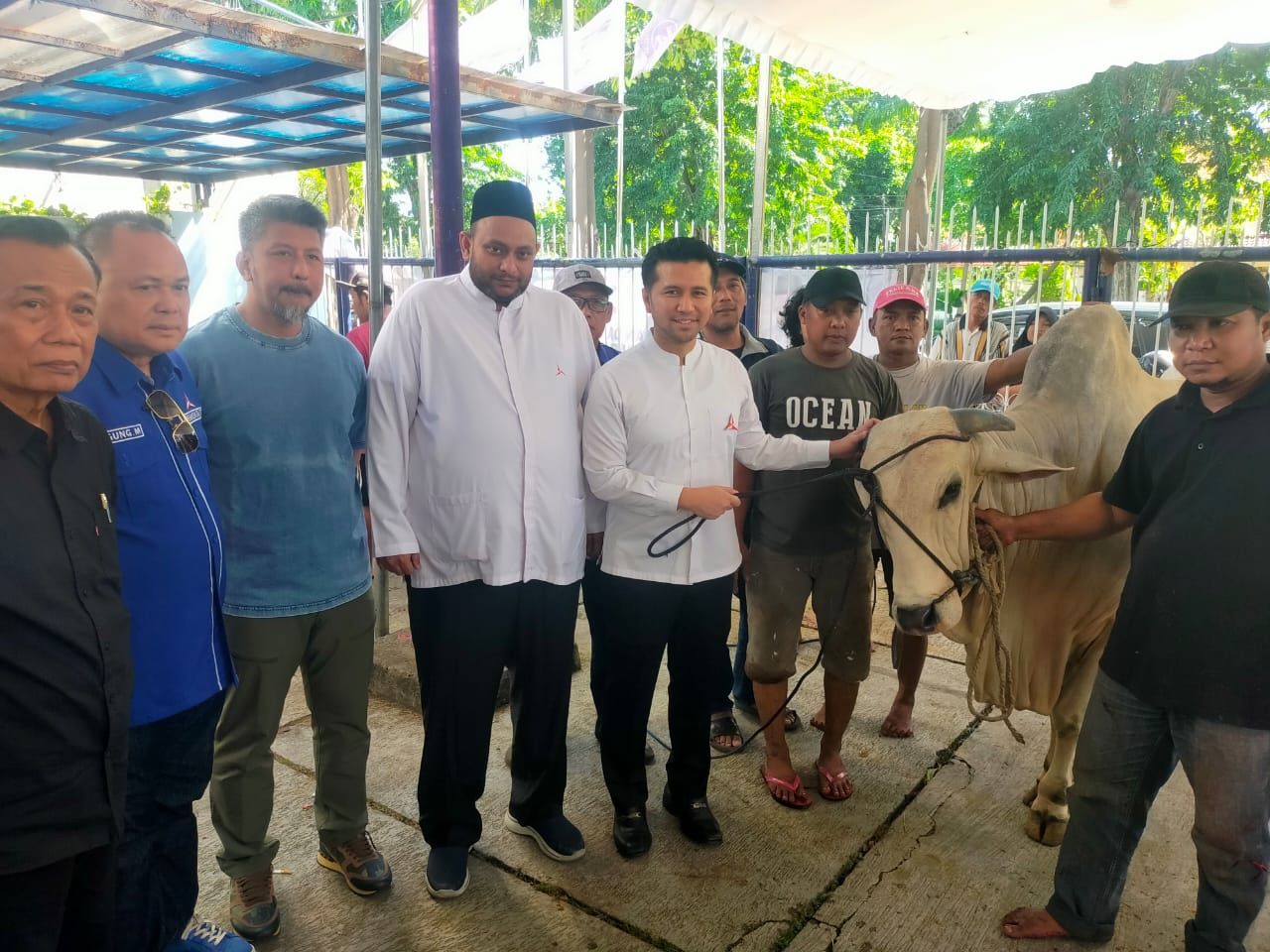 Partai Demokrat Jatim Bagikan Daging Kurban di Hari Kedua Idul Adha