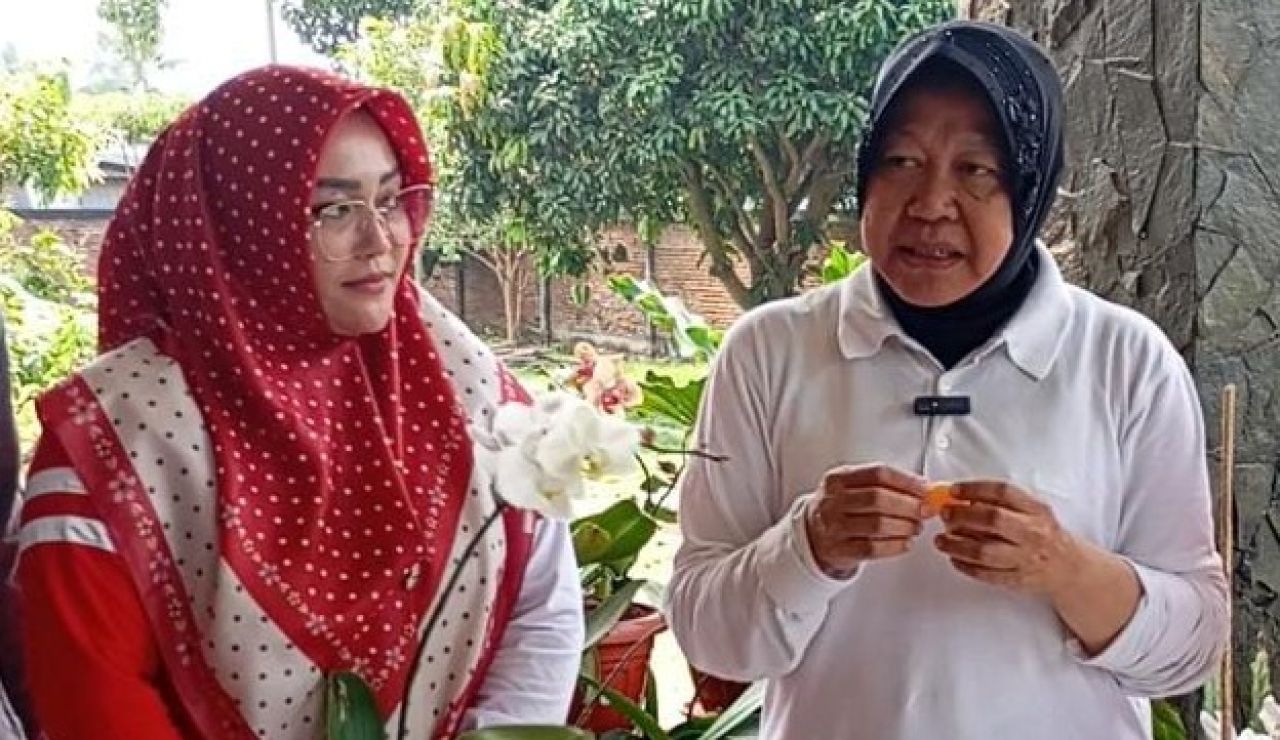 Risma Yakin Bisa Bawa Jeruk Malang Menasional dan Mendunia