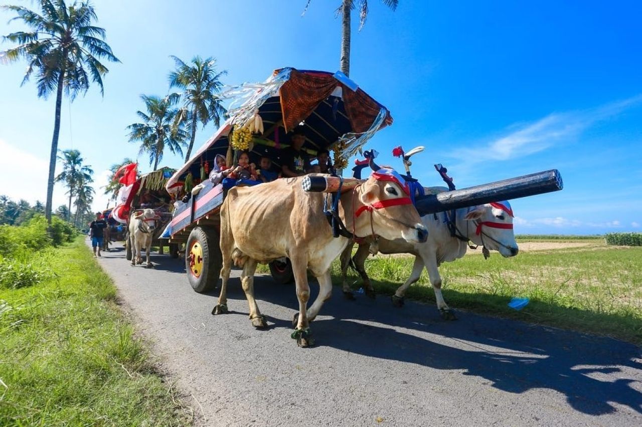 Parade Pegon Watu Ulo, Jember. (Foto: Ist)